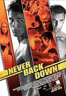 Never Back Down 1 2008 Dub in Hindi full movie download